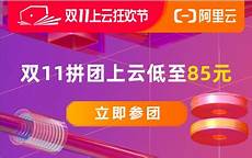 1、杯子强的境外服务器租用影子换下%租用海外服务器后