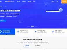 租用服务器并服务其自行开发运行的程序