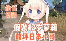 假装日本人进服务器