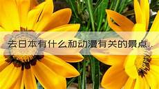 所以该日本VPS主 利用服