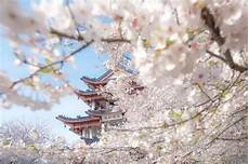 网易邮箱日本的服务器地址网易邮箱日本的服务器地址$日本爱情酒店搜