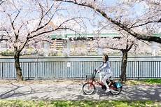 日本自行车共享服务器