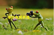 有利于企业拓展海外市场