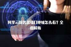 日本服务器dns地址吗,dns服务器配置检测的方法1、使用n日