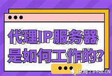 日本服务器免 为跨境企业精选日本云服务器相关服务